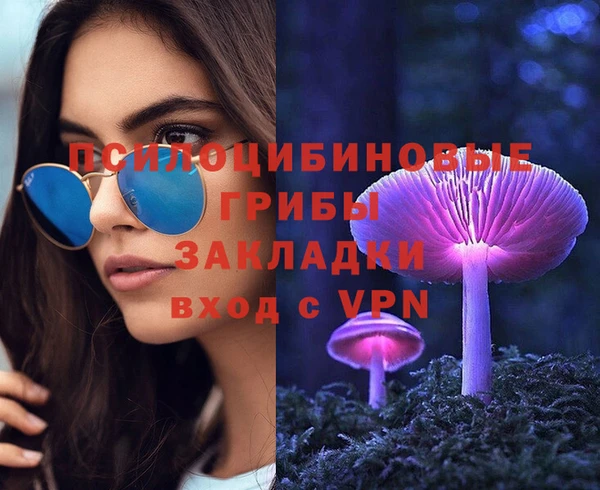 первитин Горнозаводск