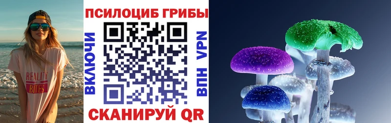 Псилоцибиновые грибы Psilocybe  kraken сайт  Ува 